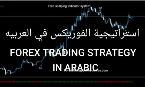 Forex Trading Complete Course In Arabic For All Type of Trading